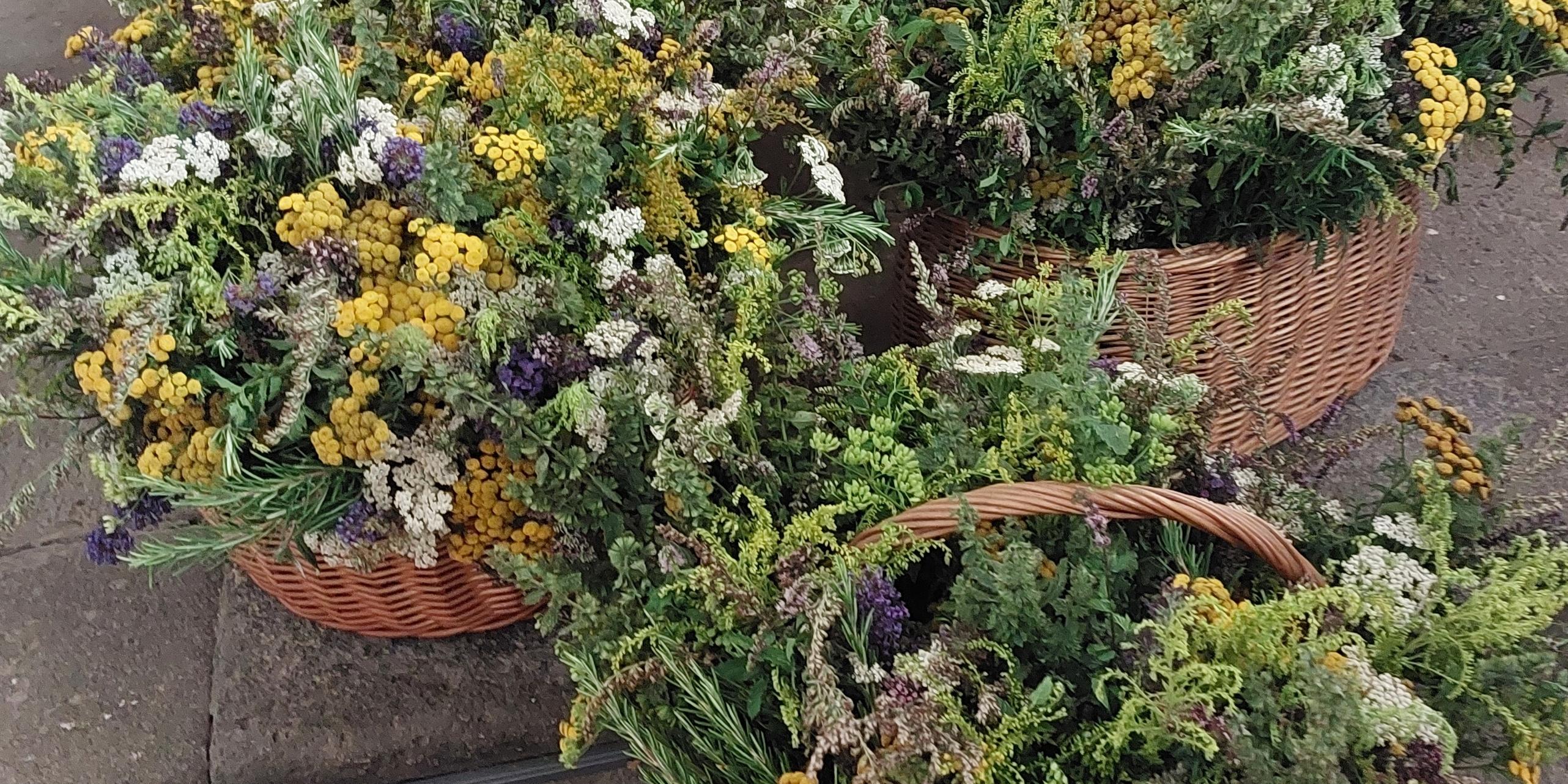 Kräutersträuße vor dem Altar