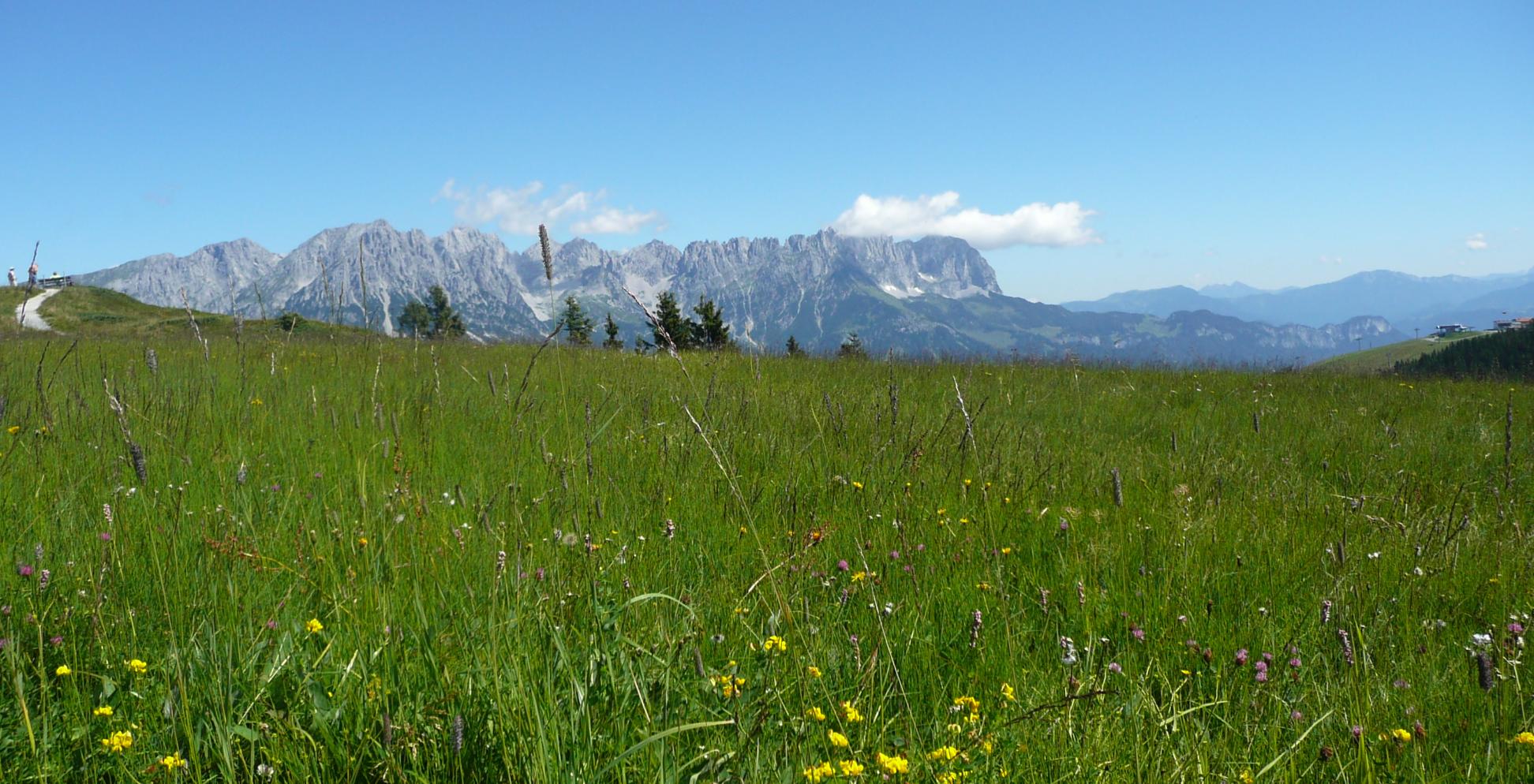 Wanderexerzitien am Wilden Kaiser in Tirol