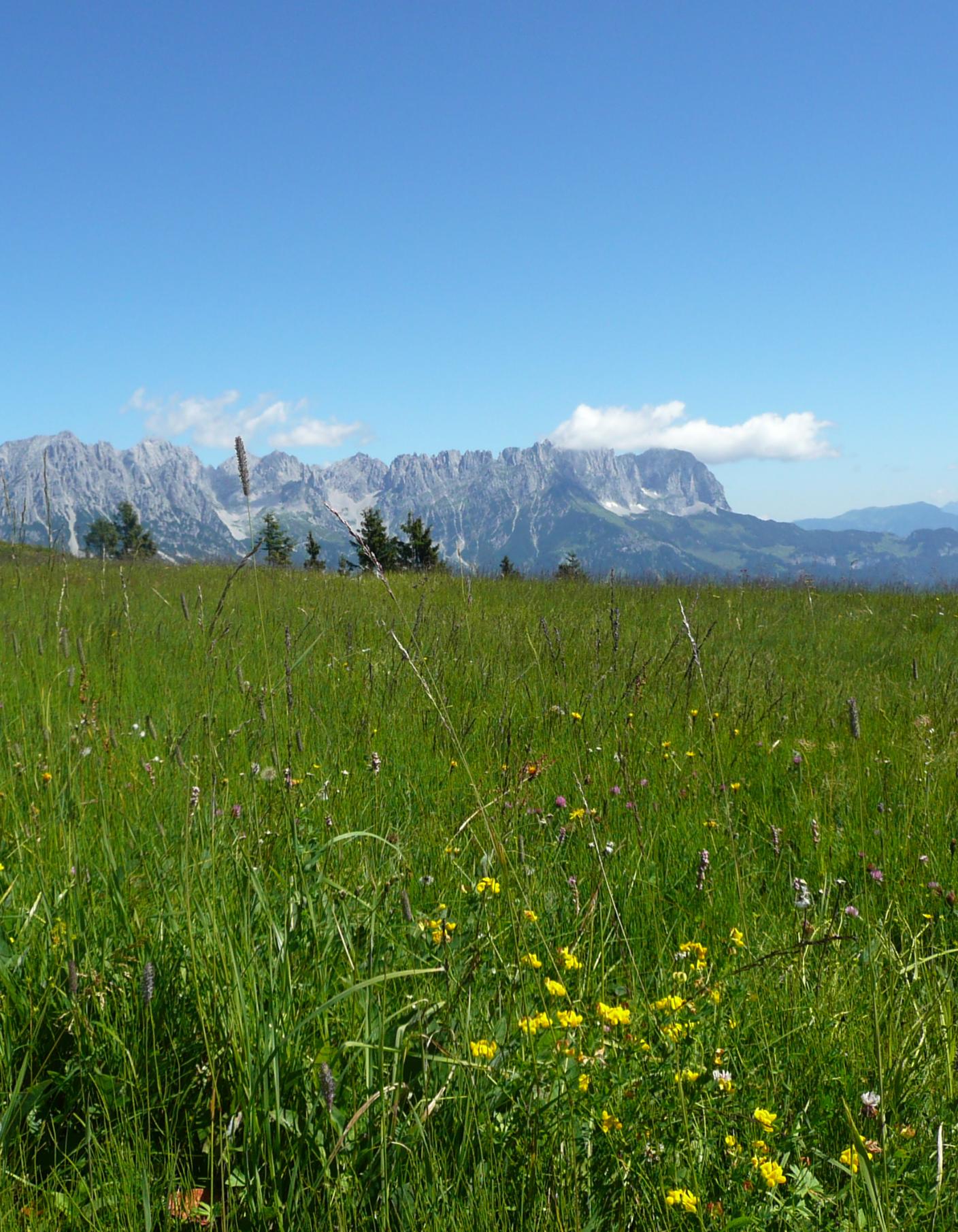 Wanderexerzitien am Wilden Kaiser in Tirol