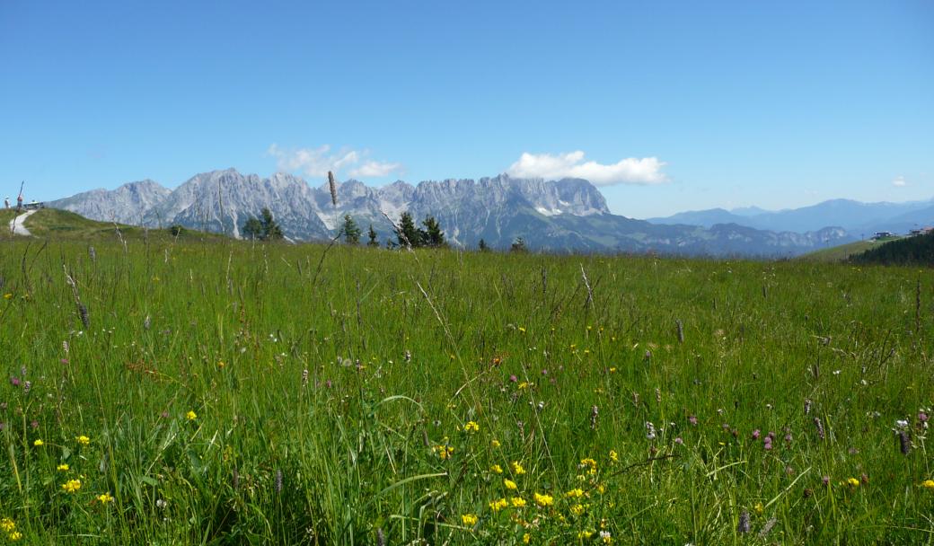 Wanderexerzitien am Wilden Kaiser in Tirol