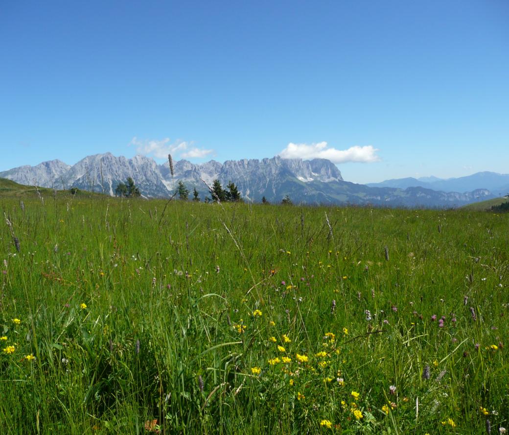 Wanderexerzitien am Wilden Kaiser in Tirol