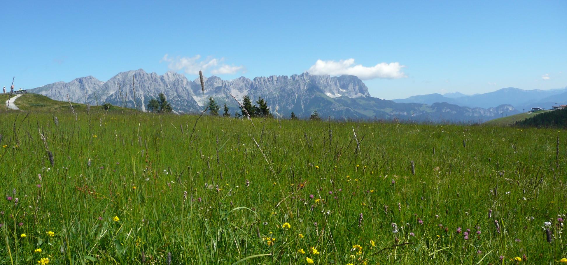 Wanderexerzitien am Wilden Kaiser in Tirol